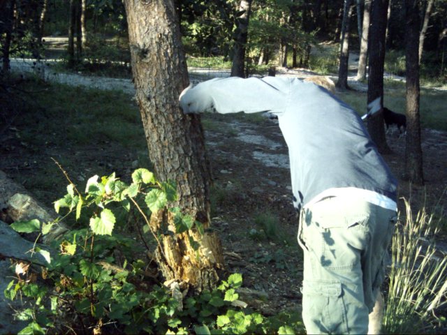 dsci0068.jpg