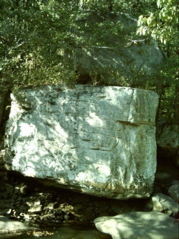 dsci0075.jpg