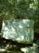 dsci0075_small.jpg