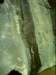 dsci0081_small.jpg