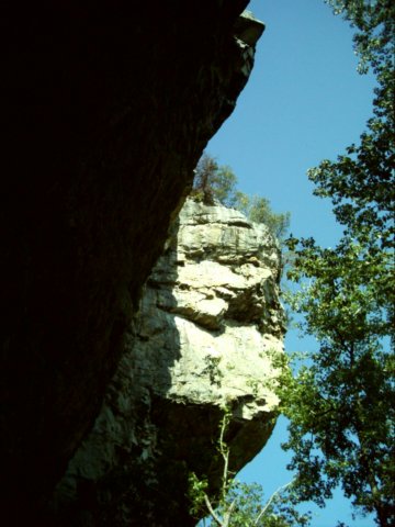 dsci0091.jpg