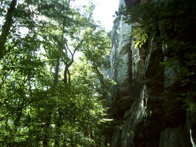 dsci0093.jpg