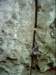 dsci0099_small.jpg