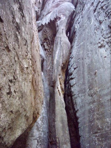 dsci0105.jpg