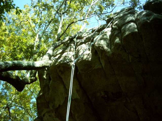 dsci0110.jpg