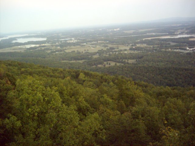 dsci0157.jpg