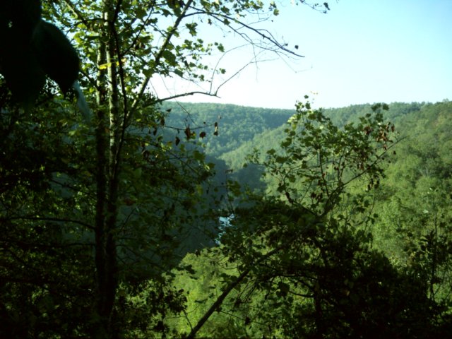 dsci0190.jpg