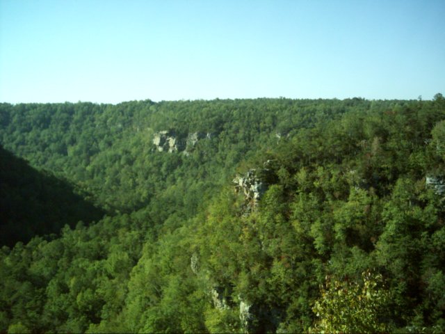 dsci0202.jpg