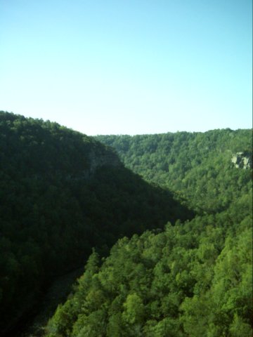dsci0206.jpg