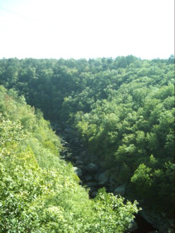 dsci0225.jpg