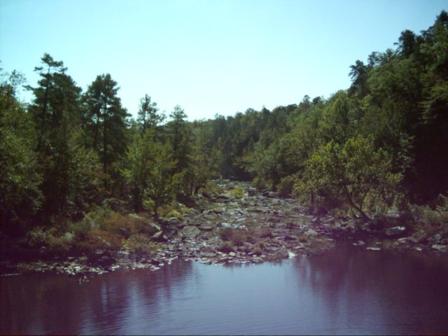dsci0236.jpg