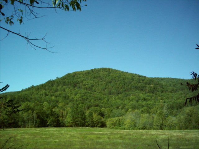 dsci0030.jpg