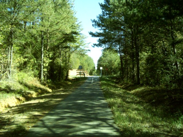 dsci0045.jpg