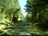 dsci0045_small.jpg
