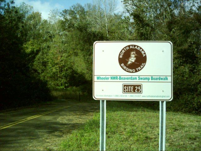 beaverdamswampboardwalk.jpg