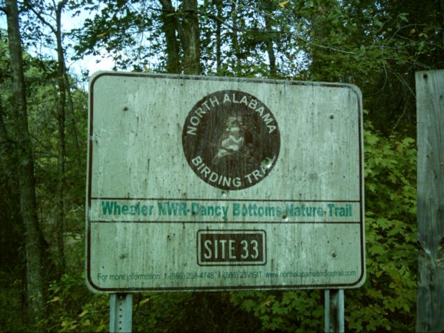 dancybottomnaturetrail.jpg
