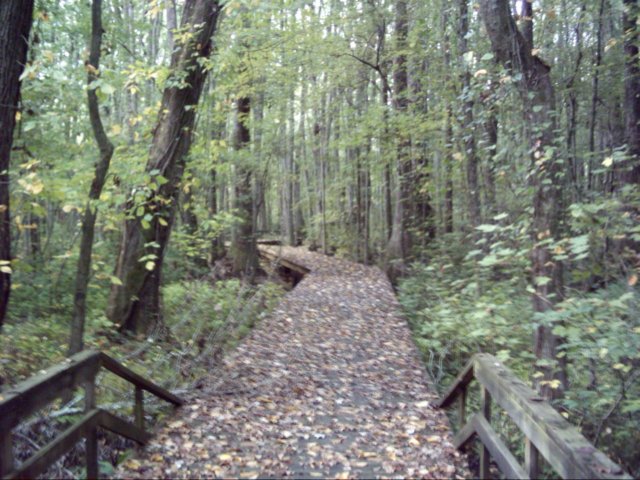 dsci0012.jpg