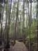 dsci0017_small.jpg