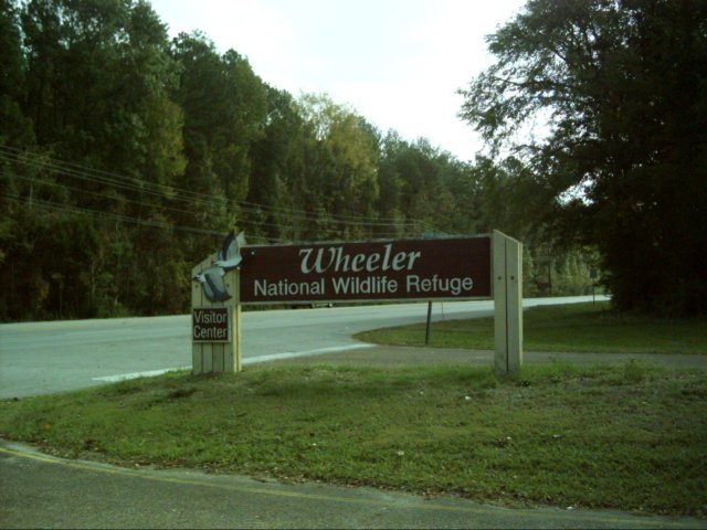 dsci0029.jpg