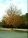 dsci0031_small.jpg