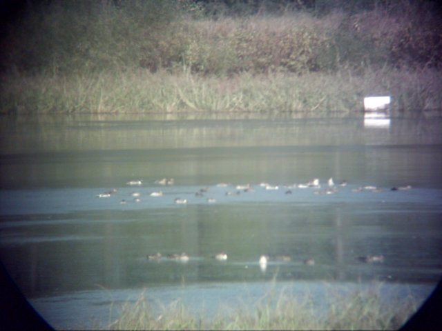 dsci0043.jpg