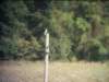 dsci0048_small.jpg