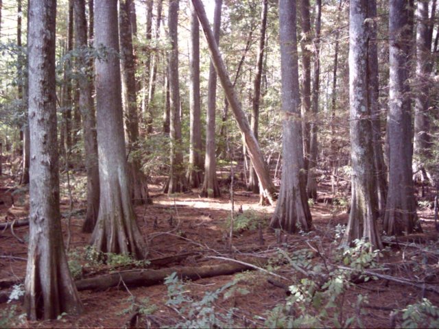 dsci0055.jpg