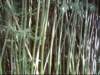 dsci0058_small.jpg
