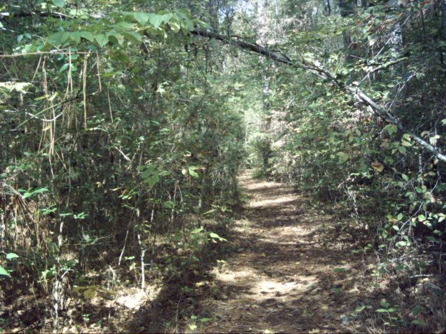 dsci0065.jpg