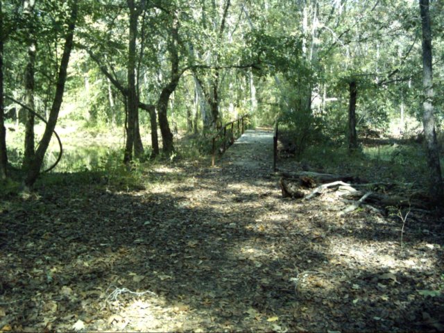 dsci0072.jpg