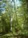 dsci0079_small.jpg