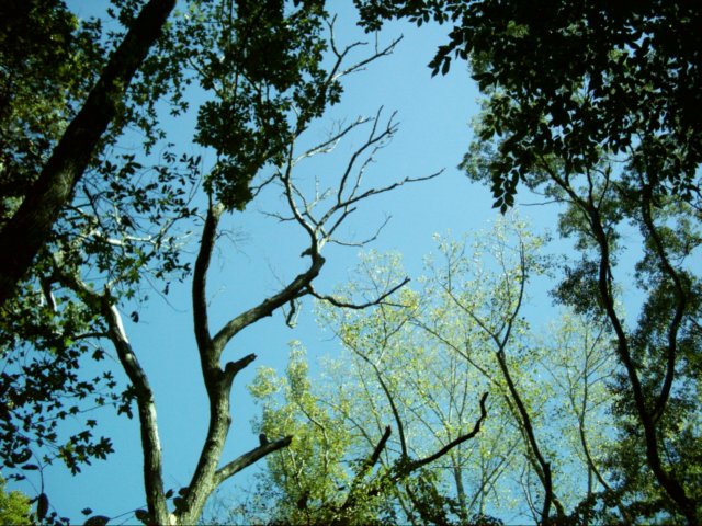 dsci0080.jpg