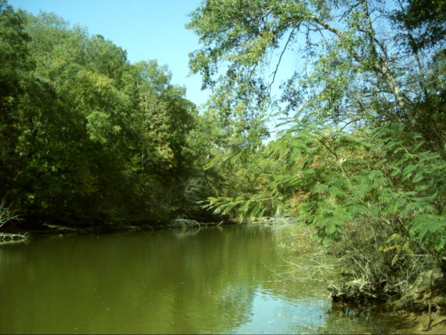 dsci0084.jpg