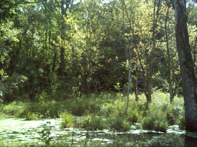 dsci0097.jpg
