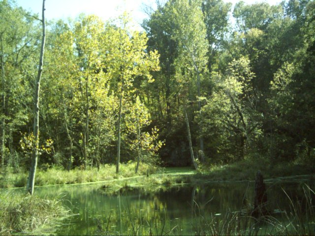 dsci0114.jpg