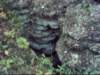 anothersinkholeblurrypic_small.jpg