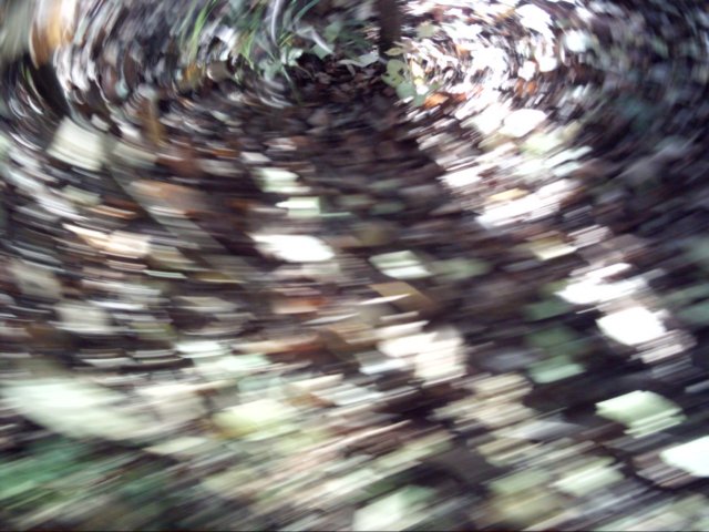 anotherswirlphoto.jpg