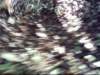 anotherswirlphoto_small.jpg