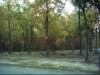 cccmemorialgarden_small.jpg