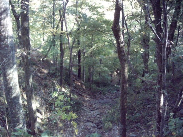 dsci0035.jpg