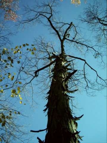 dsci0066.jpg