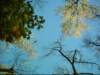 dsci0067_small.jpg