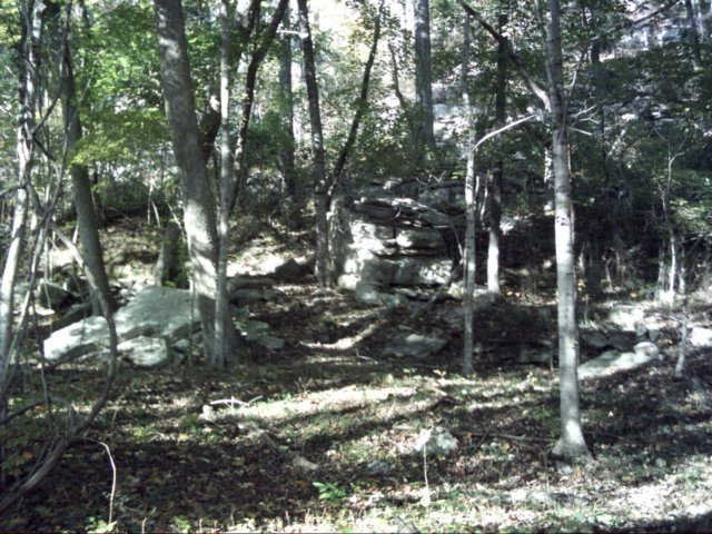 dsci0068.jpg