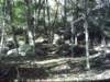 dsci0068_small.jpg