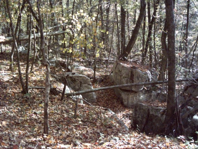 dsci0073.jpg
