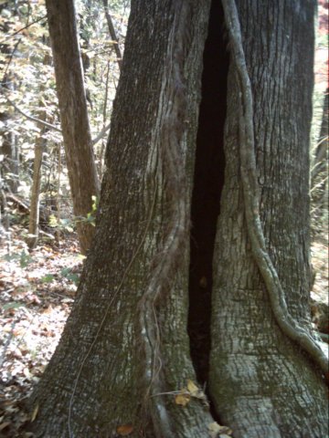 dsci0080.jpg