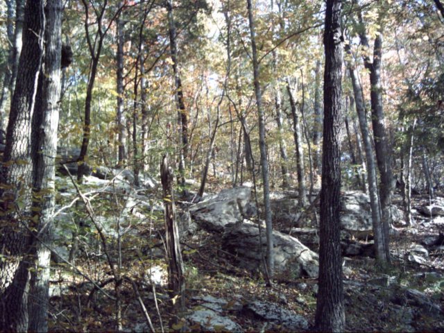 dsci0094.jpg