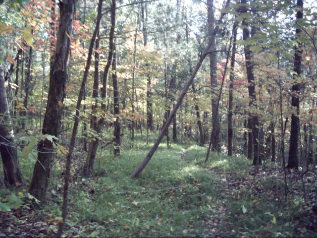 dsci0097.jpg