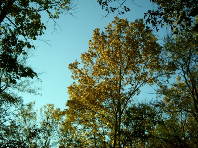 dsci0129.jpg