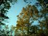 dsci0129_small.jpg